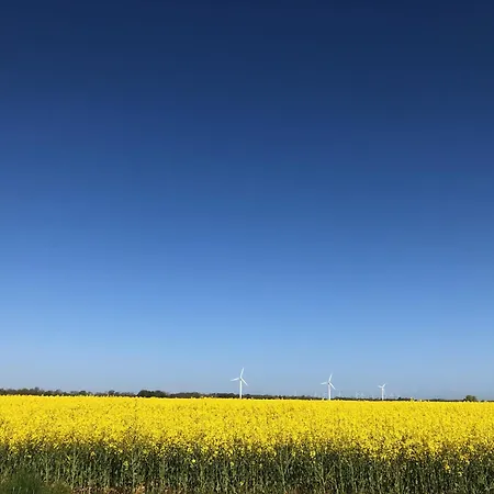 Tief 10 Deck 7 * Schillig