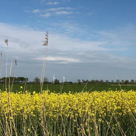 Tief 10 Deck 7 * Schillig