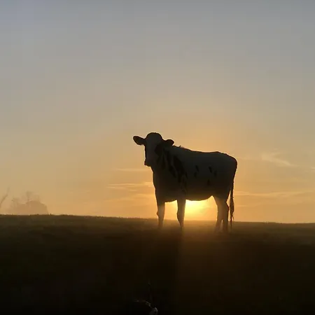 Tief 10 Deck 7 Apartment Schillig