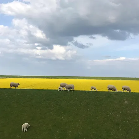 Tief 10 Deck 7 Apartment Schillig