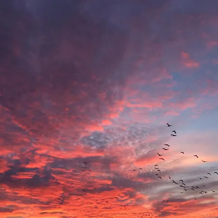 Tief 10 Deck 7 Apartment